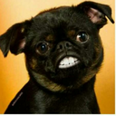 local569-blog avatar