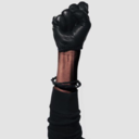 localarsonist avatar