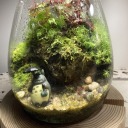 localdumbblackcat avatar