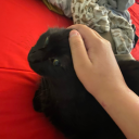 localfish1096 avatar