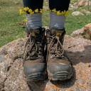 localhiker avatar