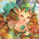 localleafeonfan avatar