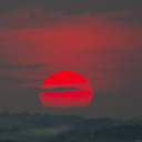 localragandbone avatar