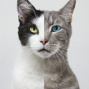 localsunflower avatar