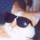 localvoidwhumper-moved avatar