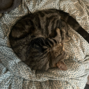 locklyle1kanij avatar