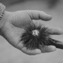 loeildeloursin avatar