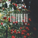 loftrosey-blog1 avatar