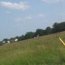 logan-eo-offical avatar