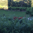 logically-unknown avatar