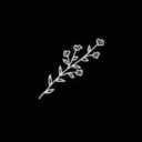 logicallylearningmoved avatar