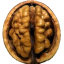 logicalnegativist avatar