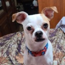 logicloveandsense avatar