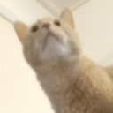 logsdrawsthings avatar