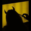 logyn-aesthetic avatar