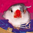 loki-spaz-moments avatar