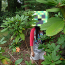 lokid-by-some-idjits avatar