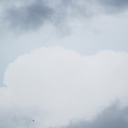 lokigodofsolsikke avatar