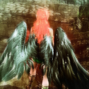 lokkawyrdthedevilsdarkdove avatar