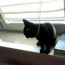 lol-im-internet-kid avatar