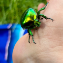 lola2222222222 avatar