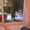 loleverlasting avatar