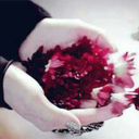 loli22322-blog avatar