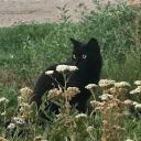 lolipoplolipop1645 avatar