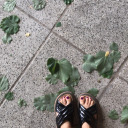 lolitainmyarms avatar