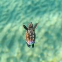 lolix0320-blog avatar