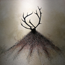 lollercakesff avatar