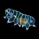 lollilollipop99 avatar