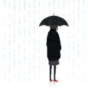 lollipopharold avatar