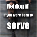 lollylolasblog avatar