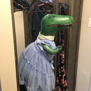 lollythedinosaur avatar