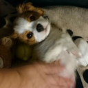 lolsworthiness avatar