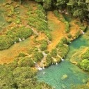 londonerscalling avatar