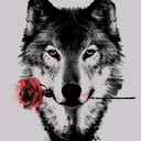 lone-shadow-wolf avatar