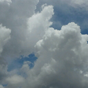 lone-star-grl avatar