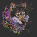 lonefemalewolf avatar