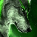 loneforestwolf avatar