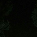 loneliness-smells-of-periwinkles avatar