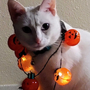 lonely-burger avatar