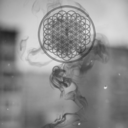 lonely-daze-blog-blog avatar