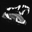 lonely-hound avatar