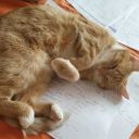 lonely-student avatar