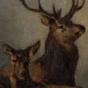 lonely-traveller avatar