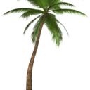 lonelyboneyking avatar