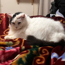 lonelylittlelifesblog avatar