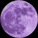 lonelyonasummernight avatar